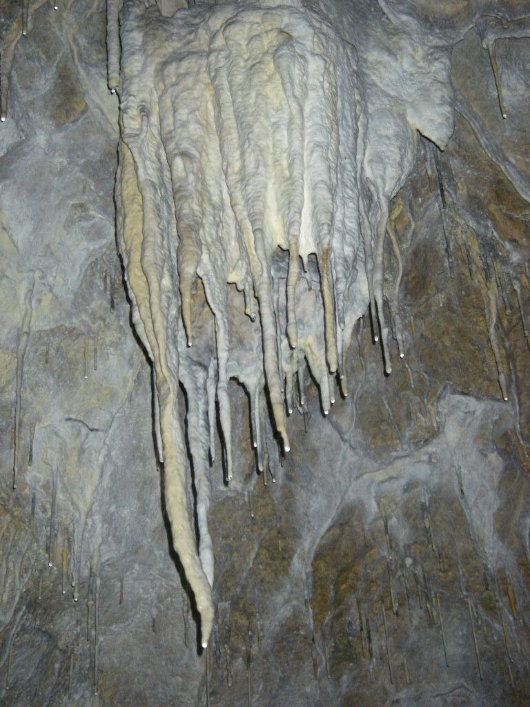 speleologie stalactites grotte Alpes de Haute Provence
